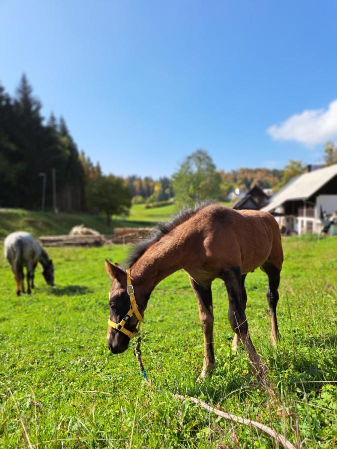 Apartmán Tourist Farm Pr' Maretc Bohinjska Bistrica Exteriér fotografie