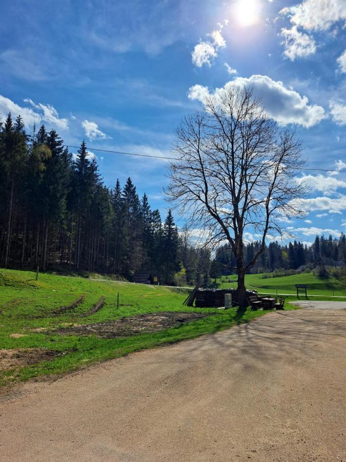 Apartmán Tourist Farm Pr' Maretc Bohinjska Bistrica Exteriér fotografie