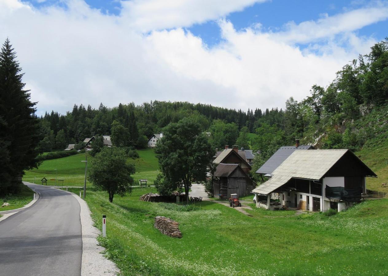 Apartmán Tourist Farm Pr' Maretc Bohinjska Bistrica Exteriér fotografie